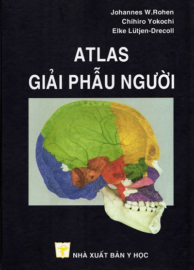 atlas yokochi tieng viet