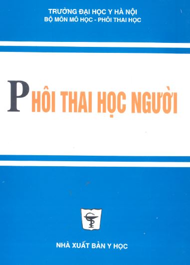 phoi thai hoc nguoi