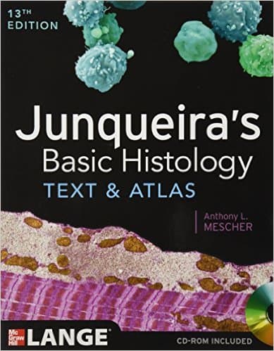 Junqueira's Basic Histology Text and Atlas, Thirteenth Edition