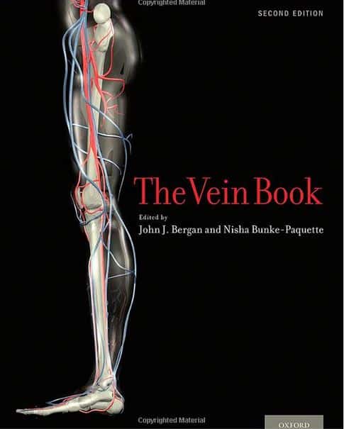 The Vien Book