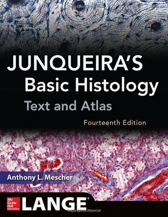 Junqueira's Basic Histology - Text and Atlas 14e
