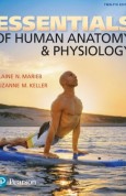 Essentials of Human Anatomy & Physiology 12e